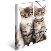 Herma 3 HERMA Sammelmappen DIN A4 Katzen