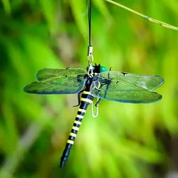 Simulation Libelle Insekt Modell Mückenschutz Outdoor Hängende Ornamente