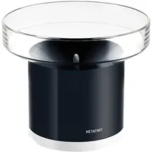 Netatmo NRG01-WW Regenmesser