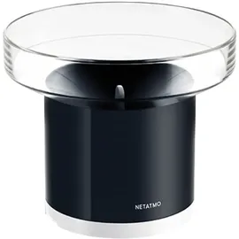 Netatmo NRG01-WW Regenmesser