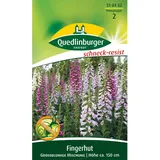 Quedlinburger Fingerhut ''großblumige Mischung''