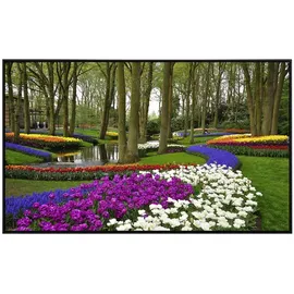 Papermoon Infrarotheizung Tulpen im Keukenhof Park 800 W Bunt