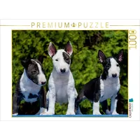 Calvendo Bullterrier Puzzle