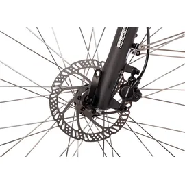 Saxonette Quantum Sport Wave 28 Zoll RH 50 cm Damen blau