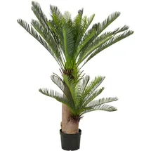 Creativ green Kunstpalme CREATIV GREEN "Cycaspalme", grün, H:145cm, Kunststoff, Kunstpflanzen, mit detailgetreuer Gestaltung