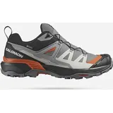 Salomon X Ultra 360 GTX Herren quiet shade/black/spice route 46 2/3