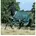 Outdoordecke 300g Greenline Weidedecke Green 130