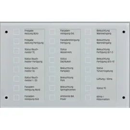 Jung Ersatz-Frontglas MBT2424GL