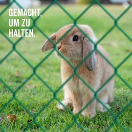 GAH Alberts Maschendrahtgeflecht 15 x 0,8 m Grün