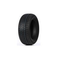 Double Coin DC99 205/55 R16 91V)