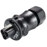Wieland Electric 96.032.0053.1 Rundstecker Stecker, gerade Gesamtpolzahl: 3 1St.