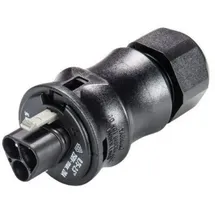Wieland Electric 96.032.0053.1 Rundstecker Stecker, gerade Gesamtpolzahl: 3 1St.
