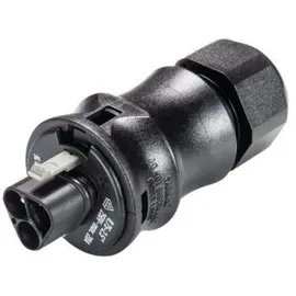 Wieland Electric 96.032.0053.1 Rundstecker Stecker, gerade Gesamtpolzahl: 3 1St.