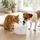 Nedis Petwf21wt Wasserspender - White - One Size