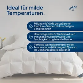 AM Qualitätsmatratzen Premium Ganzjahres Daunen Bettdecke Made in Germany aus 100% - Daunen 140x220cm