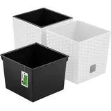 Pafen Rattan 17 x 17 x 17 cm Weiß