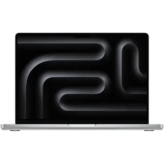 2024 M4 24 GB RAM 512 GB SSD 10-Core GPU Silber Z1DW-010001