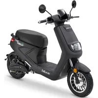 Luxxon XT2000 2000 Watt 45 km/h schwarz