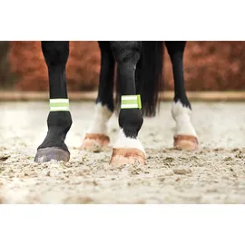 Horse Guard elastisches Reflexband Sicherheitsband für Pferde 2 St