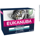 Eukanuba Katzenfutter nass getreidefrei - Premium Nassfutter mit viel Lamm für ausgewachsene Katzen, 12 x 85 g