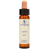 Healing Herbs Bachblüten Larch Tropfen, 10 ml