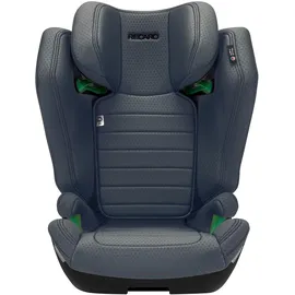Recaro Axion 1 Grau