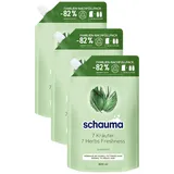 Schauma Shampoo 7 Kräuter Nachfüllpack (800 ml), Haarshampoo verleiht der Haarstruktur eine leichte Frische, Frische-Shampoo für normales bis schnell fettendes Haar (Packung mit 3)