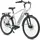 Tretwerk Sonic Nexus 28 Zoll RH 50 cm Damen weiß