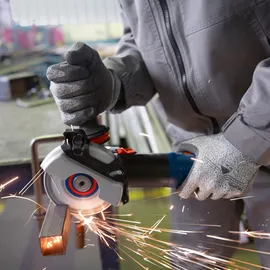 Bosch GWS 17-125 Professional