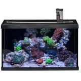 Eheim Aquarium-Set Aquastar Marine 63 l Schwarz