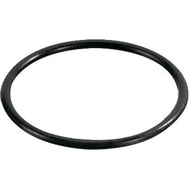 Otto Haas Gummi-Rollring DN 100