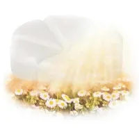 110er Pack Bolsius CREATIONS Schmelzblüten Duftblüten Aromatic Duftwachs Wax Melts (Summer-light - 94)