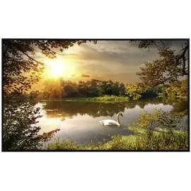 Papermoon Infrarotheizung Schwan am Teich 600 W bunt