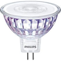 Philips Spot (50W) 12V 36° GU5.3