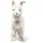 Steiff Cosy Alpaka 18 cm Weiß