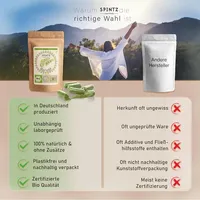 Spintz Moringa Kapseln 260 St.