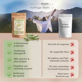 Spintz Moringa Kapseln 260 St.
