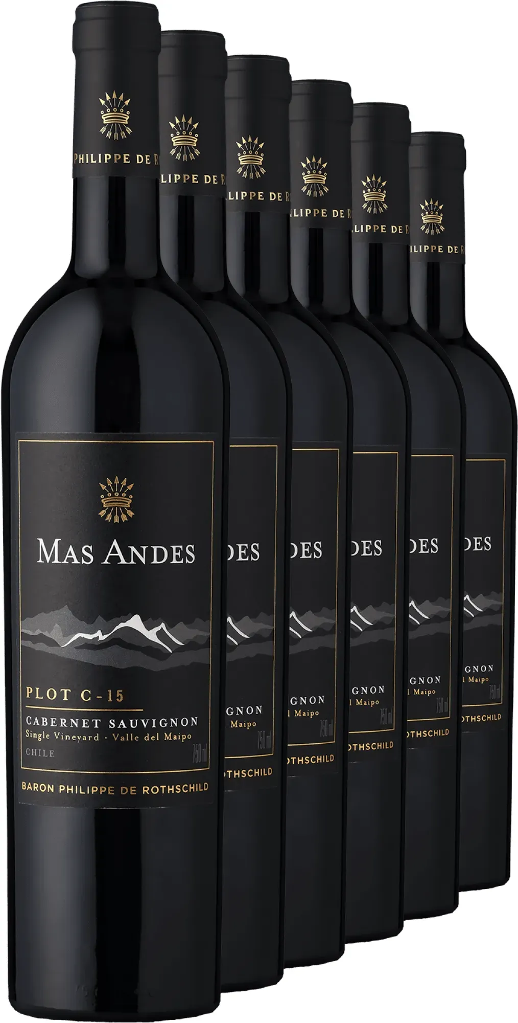 2023 Rothschild Mas Andes PLOT C-15 Cabernet Sauvignon im 6er-Vorratspaket