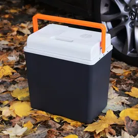 RIDEX 100008A0002 285mm, 420mm, 455mm, 20l, 6, 3kg