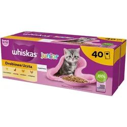WHISKAS Junior Geflügel-Schmaus 40x85g Nassfutter mit Huhn, Ente, Geflügel und Pute in Gelee für Kätzchen
