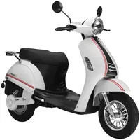 LUXXON E3000 3000 Watt 45 km/h weiß