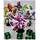 DEVIR King Of Tokyo Brettspiel