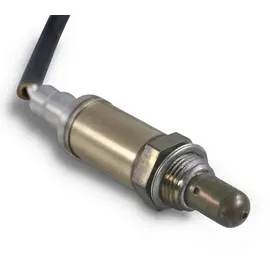 NTY ESL-PL-007