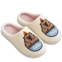 corimori Hausschuhe mit netten Motiven 07 Capybara,EU 42-43 (Etikett CN 44-45)