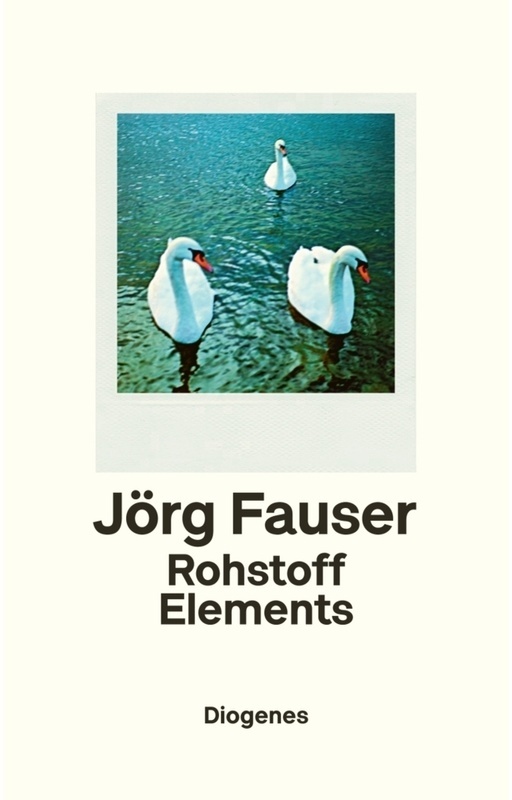 Rohstoff Elements - Jörg Fauser  Leinen