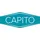 CAPITO Tiefmuldenkarre 100 l
