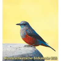 Vier Türme Münsterschwarzacher Bildkalender 2026