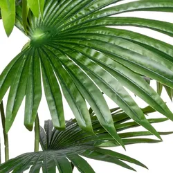 CREATIV green künstliche Pflanze Washingtonia, ca 150cm