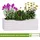 BooGardi Blumenkasten mit Einsatz · Weiß 44cm x 20cm x 14cm · 4 Farben 3 Größen · Pflanzgefäß für · · Terrasse