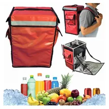 trends4cents CoolQuest isolierte Kühltasche 42 Liter in Thermobox wasserdicht Picknick Rucksack Liefertasche Lieferservice Thermo-Transport Thermobag Deliverybag Takeaway-Box Fahrradkurier (Rot)
